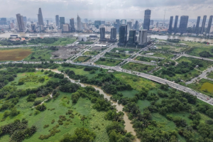 Hợp đồng BT ở Thủ Thiêm TP HCM kiểm tra diện tích và giá đất