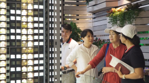 khách hàng xem sa bàn 1 dự án bất động sản